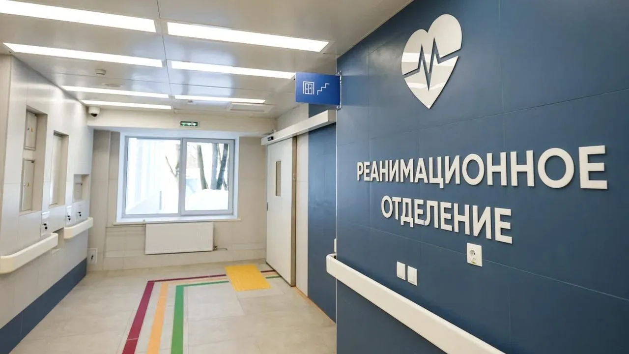 пресс-служба губернатора и правительства Московской области/Александра Степанова