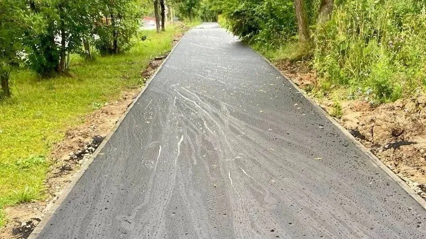 Фото: пресс-служба Губернатора и Правительства Московской области