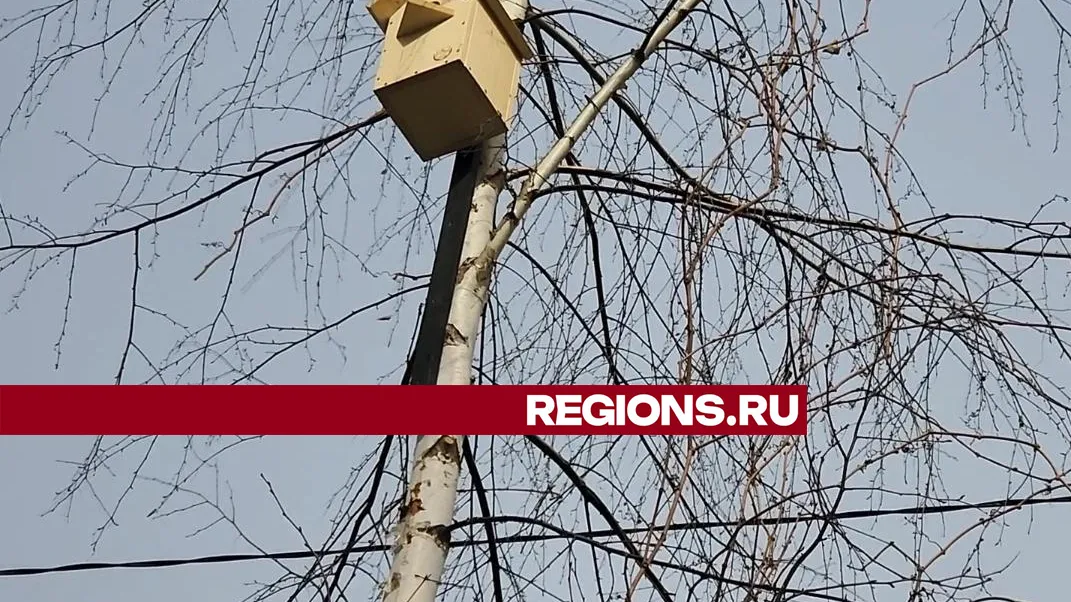 Фото: Михаил Раскин