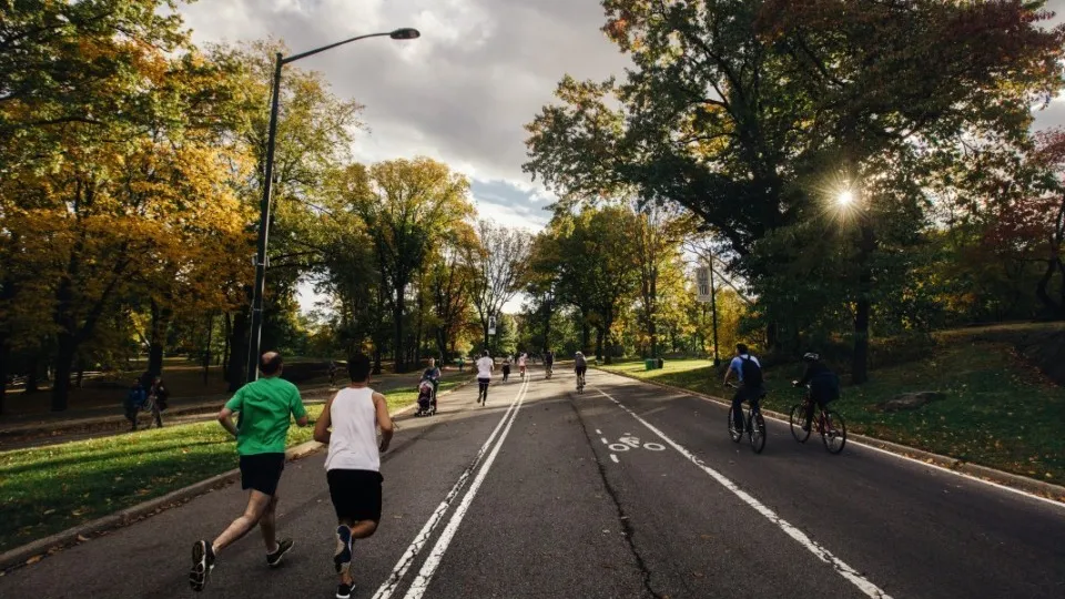 Фото: pxhere.com