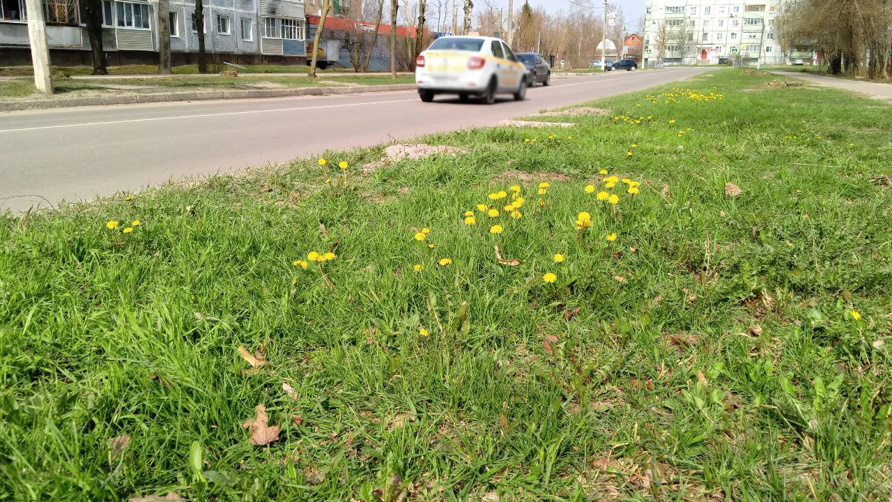 Фото: REGIONS/Василий Тремасов