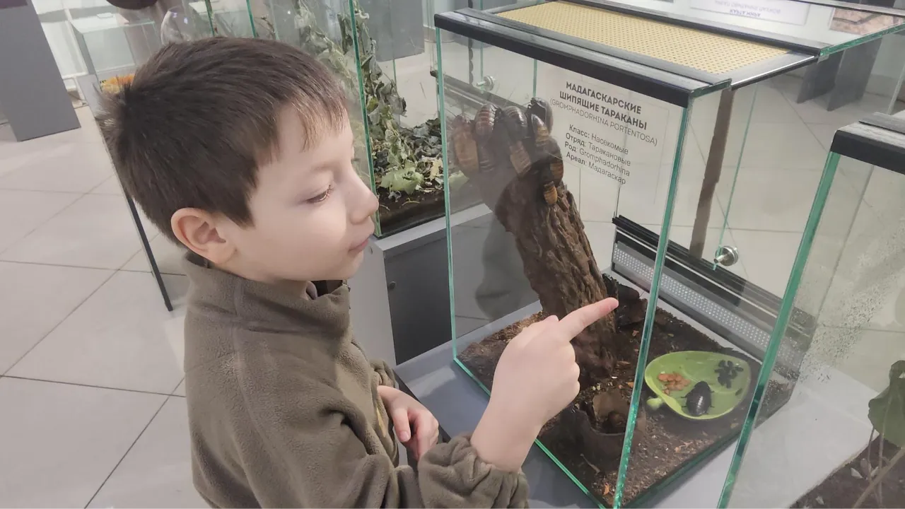 МедиаБанк Подмосковья/Наталья Лымарь