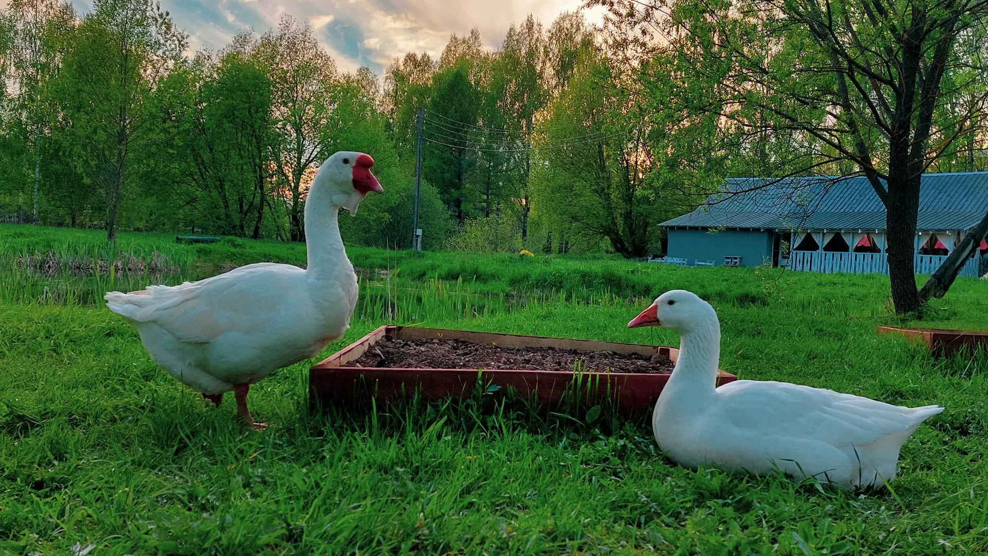 Афанасьева Татьяна