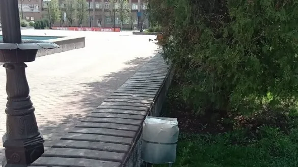 Фото: пресс-служба администрации Наро-Фоминского г.о.