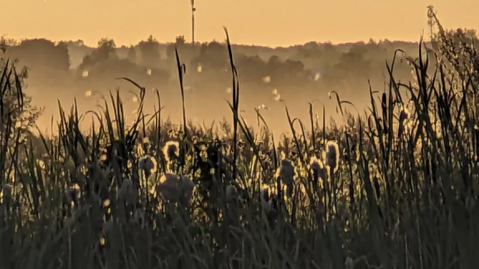 Фото: REGIONS/Алексей Селиверстов