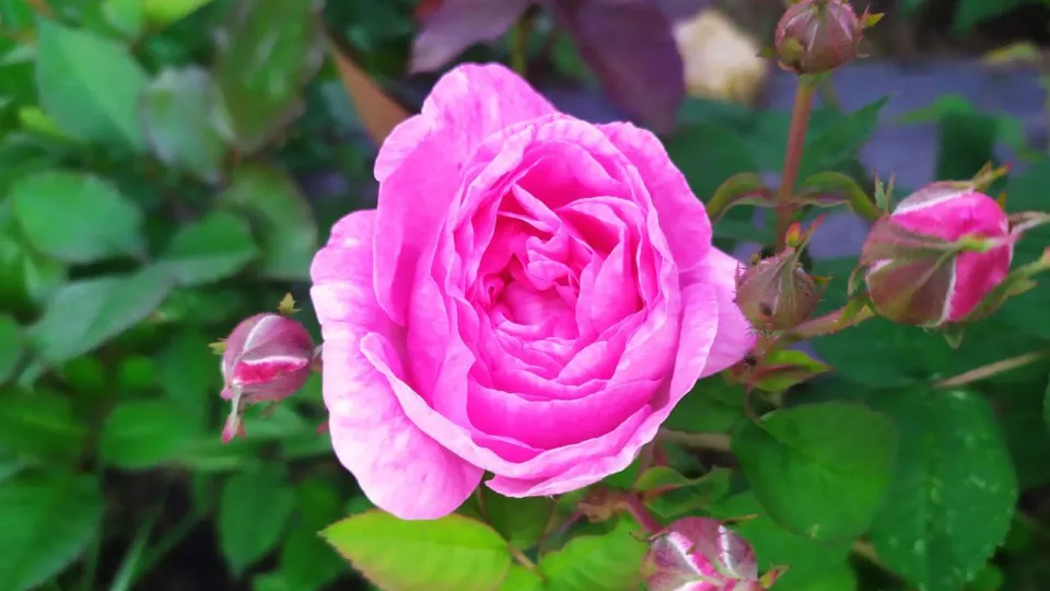 Фото: REGIONS/Анастасия Соловьева