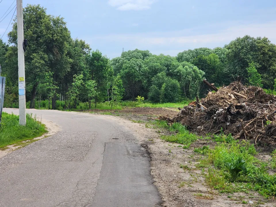 Фото: Мария Шигорева