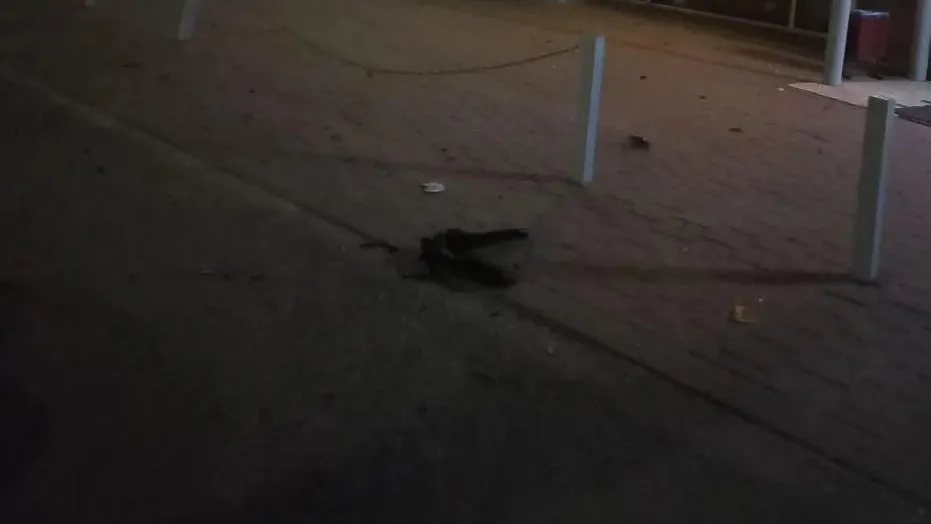 Фото: социальные сети