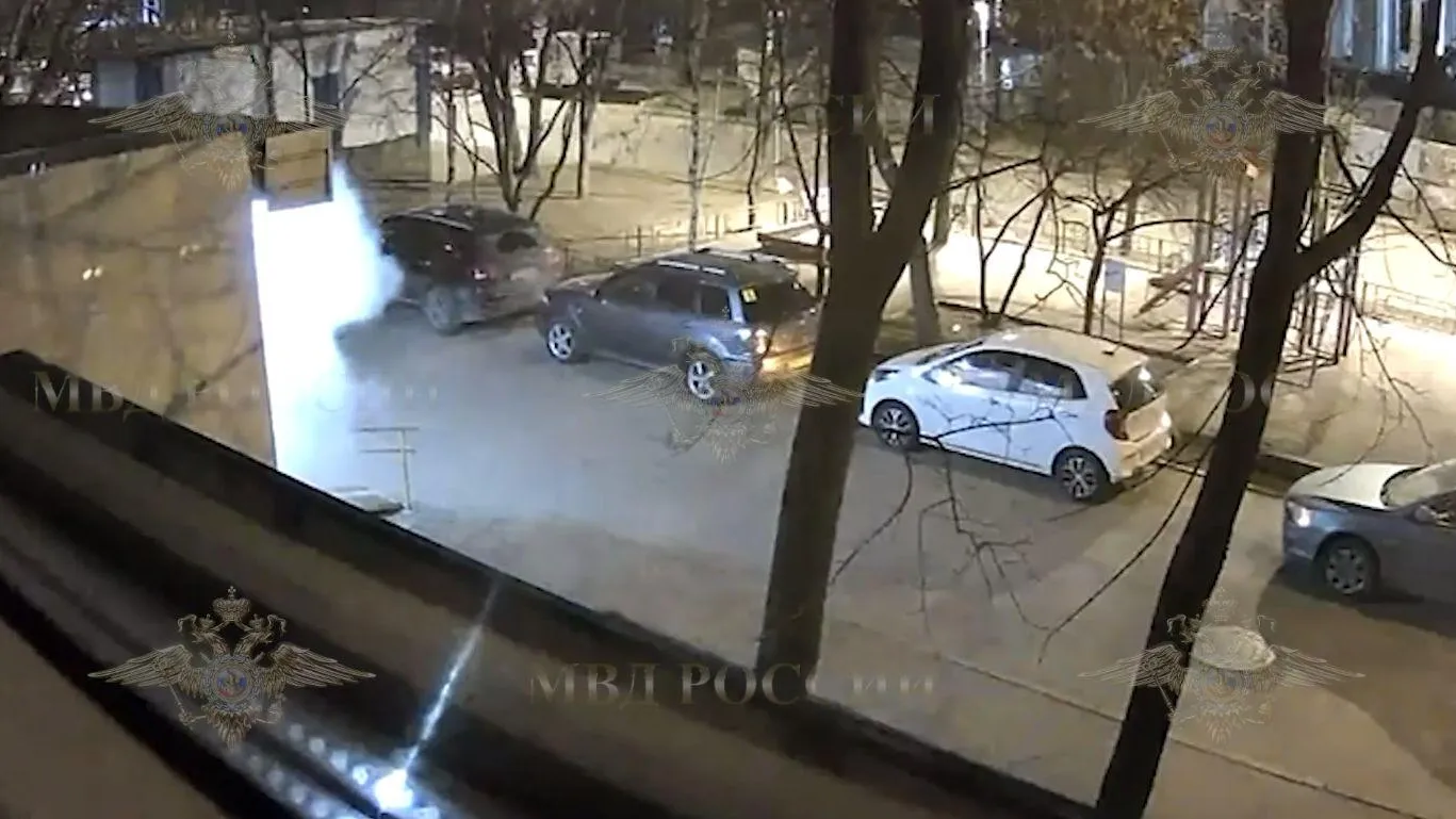 Официальный представитель МВД России Ирина Волк