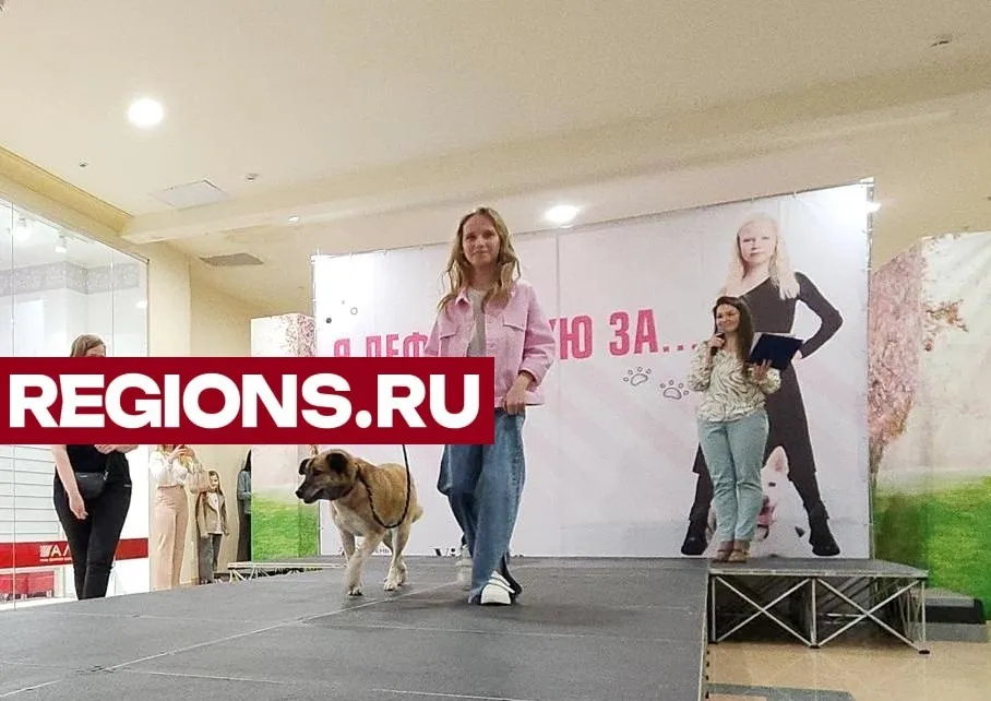 Фото: Нина Басистая