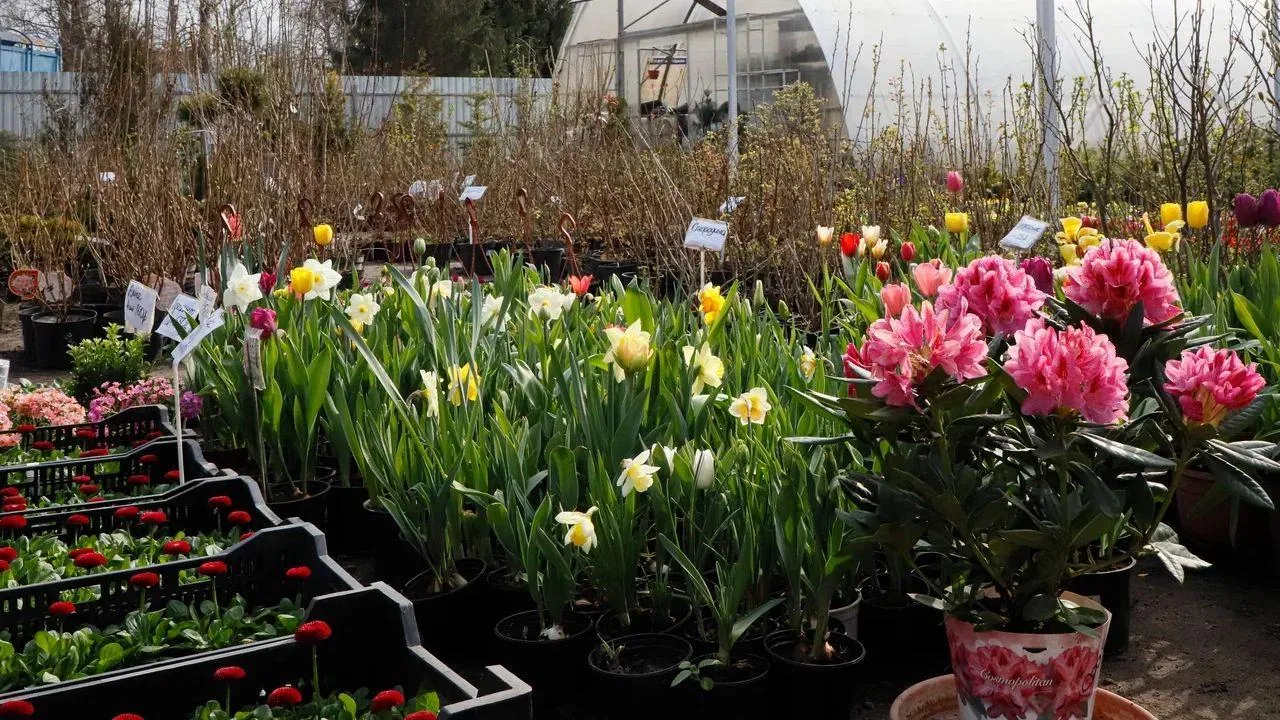 REGIONS/Наталья Надточая