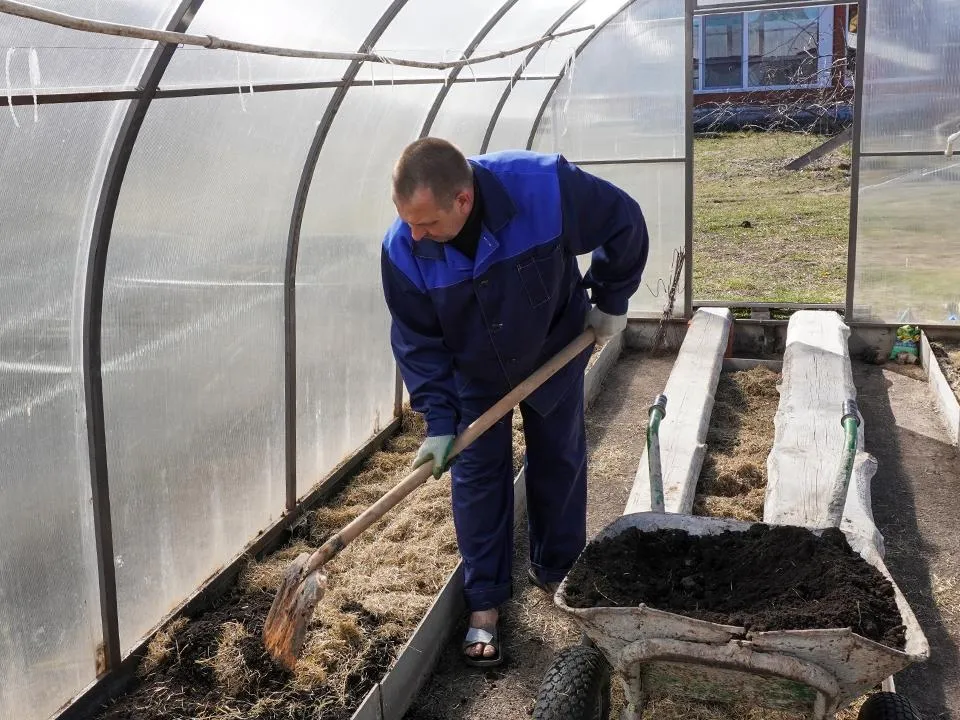 Не только спина: названы главные болезни дачников