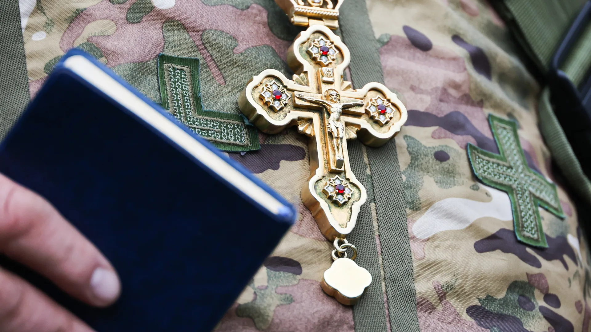 Фото: ТАСС/Александр Полегенько