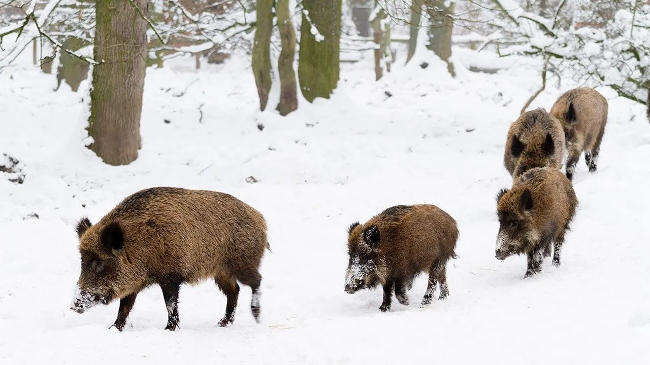 istockphoto.com/RelaxFoto.de