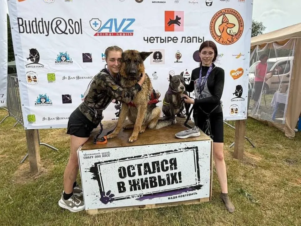 Фото: Министерство образования Московской области