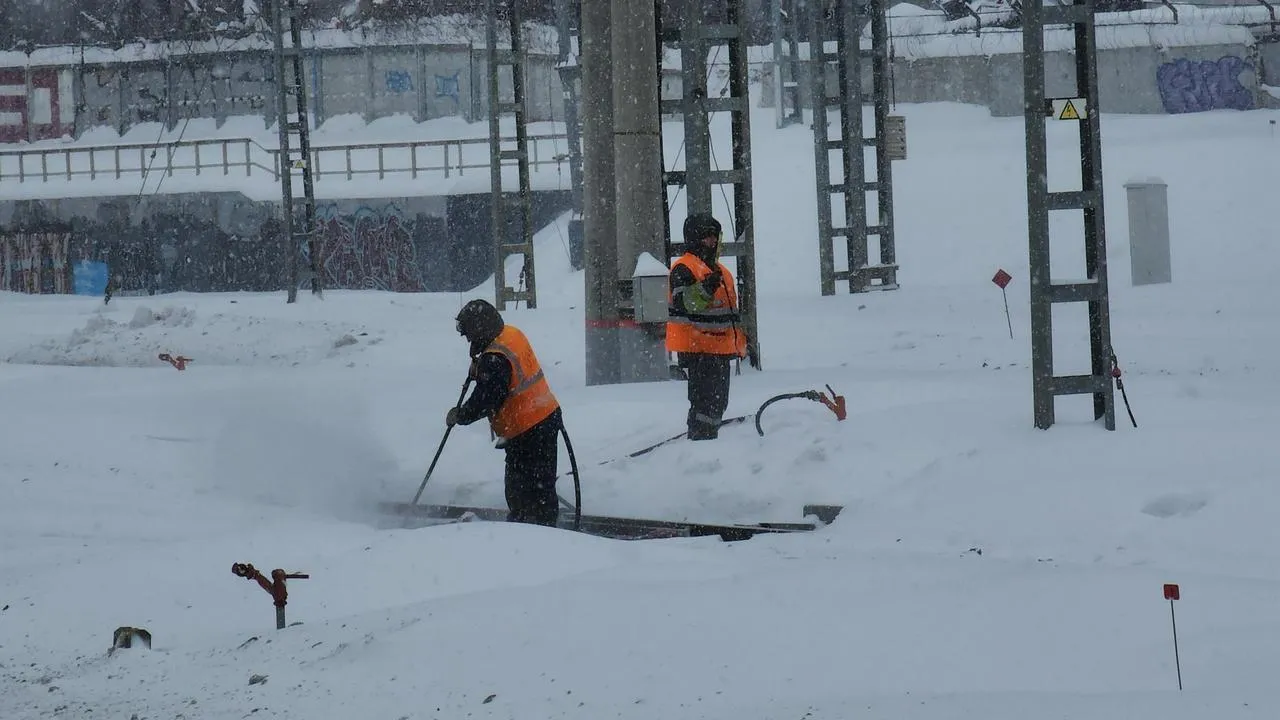 МедиаБанк Подмосковья/Валерия Исаева