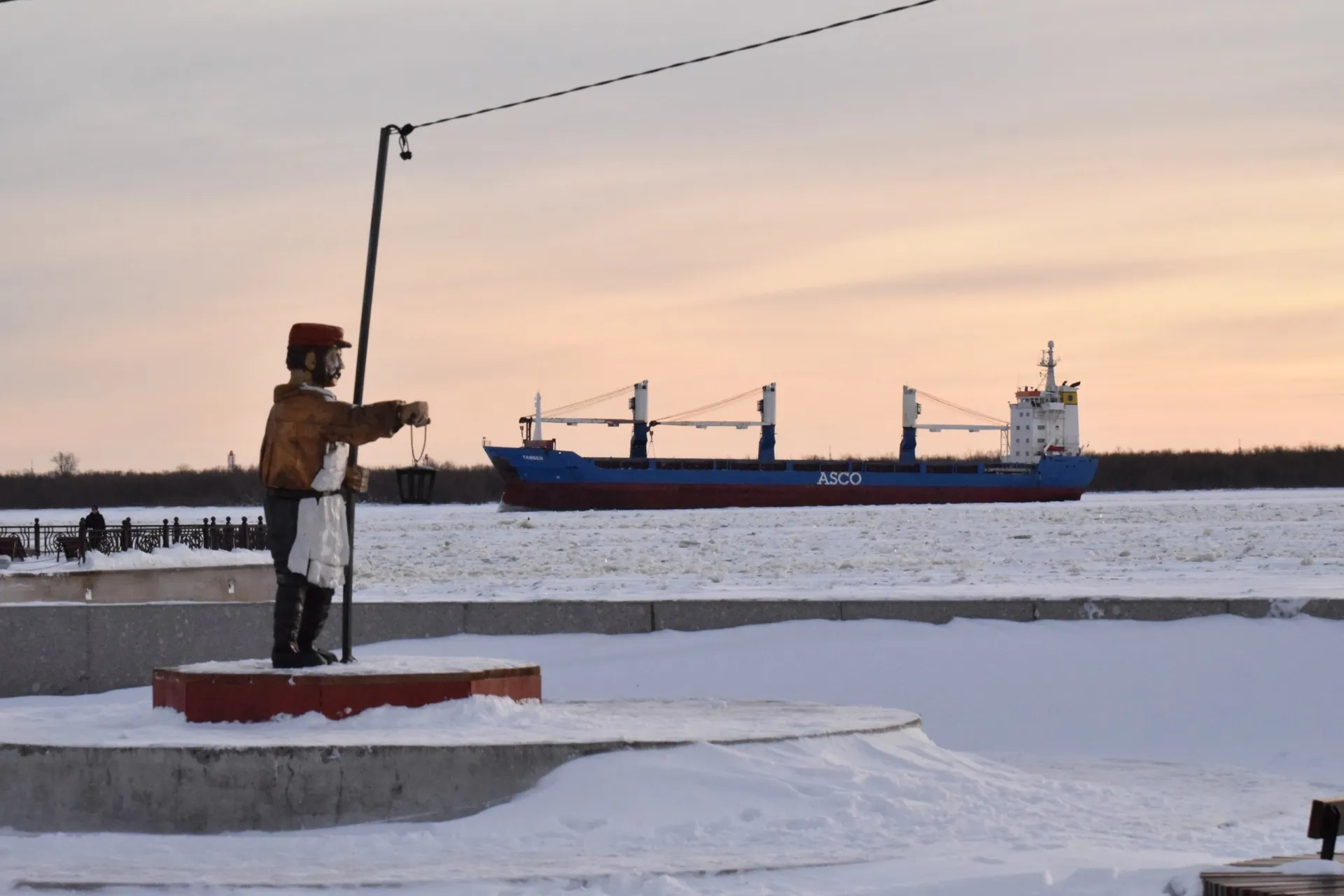 Фото: Движение Первых. Долгопрудный