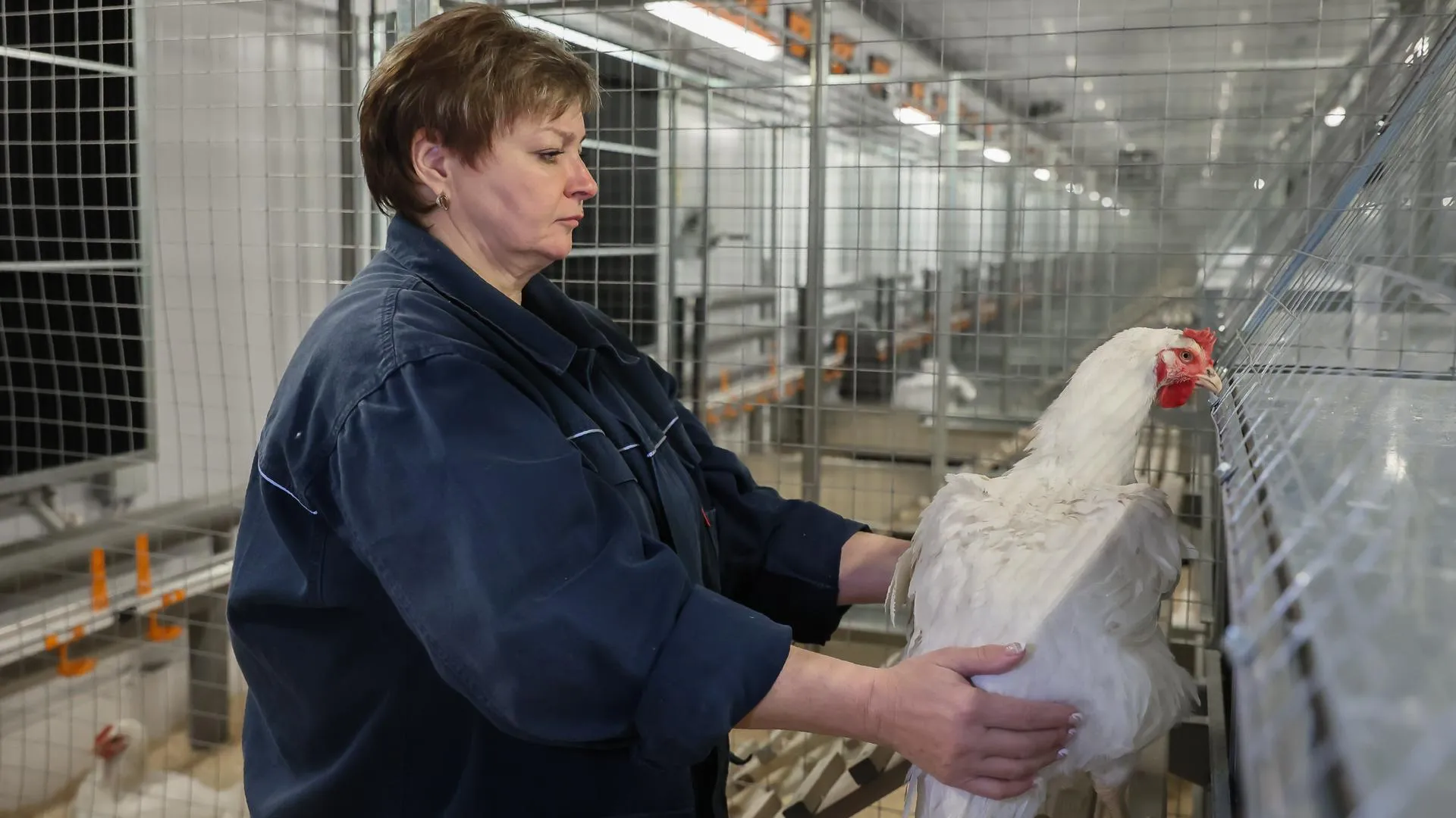 Константин Семенец