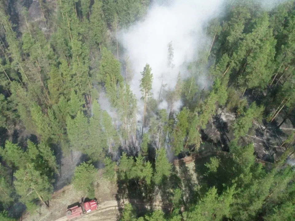 Фото: РИА Новости/ГУ МЧС по Алтайскому краю