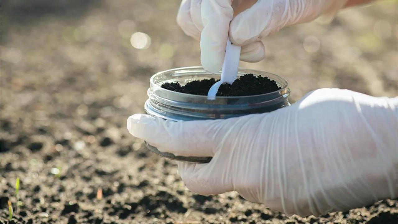 istockphoto.com/HappyNati