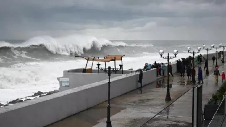 Кадр из Сочи. Фото: РИА Новости