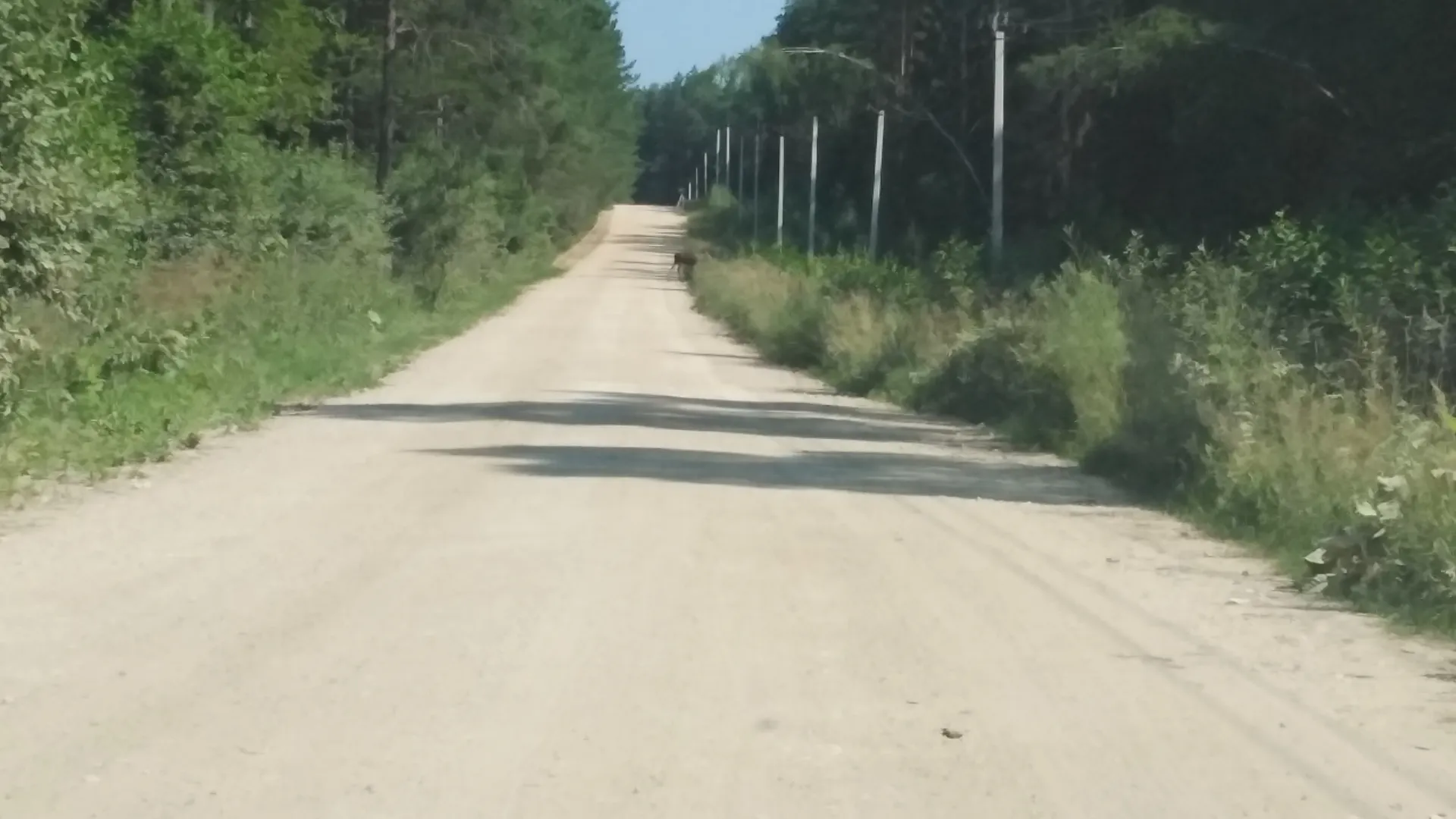 Фото: личный архив Ильи Давыдова