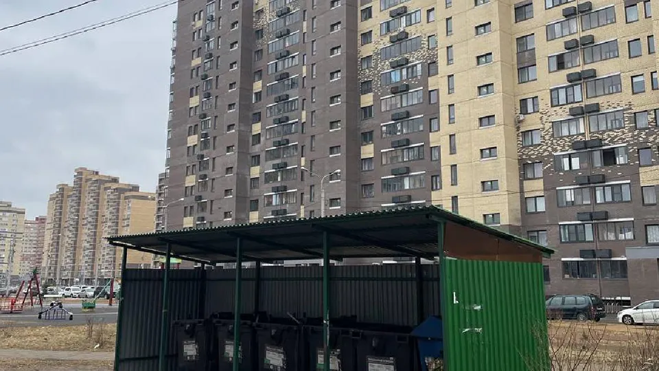 Фото: администрация Лосино-Петровского г.о.