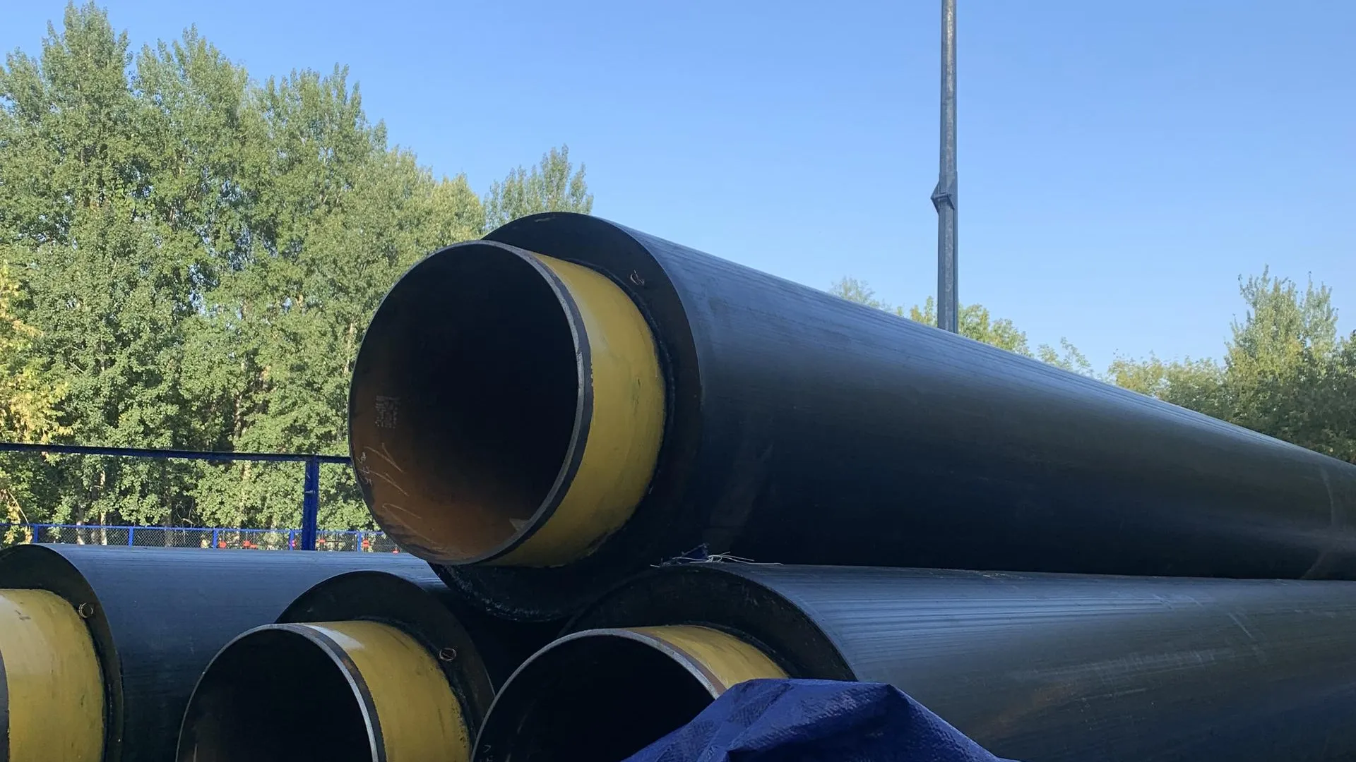 Екатерина Кирдина