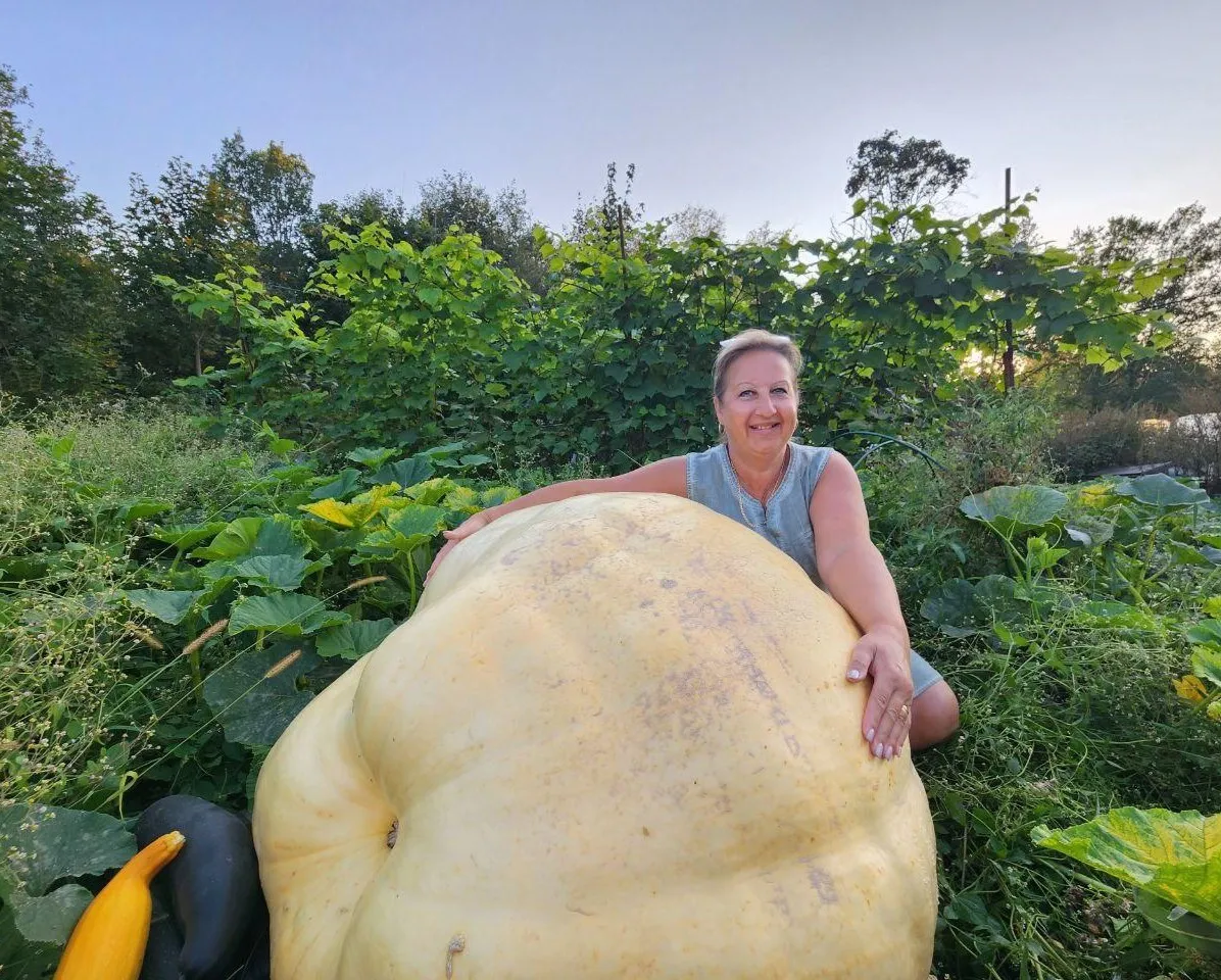 REGIONS/Яна Шаливская