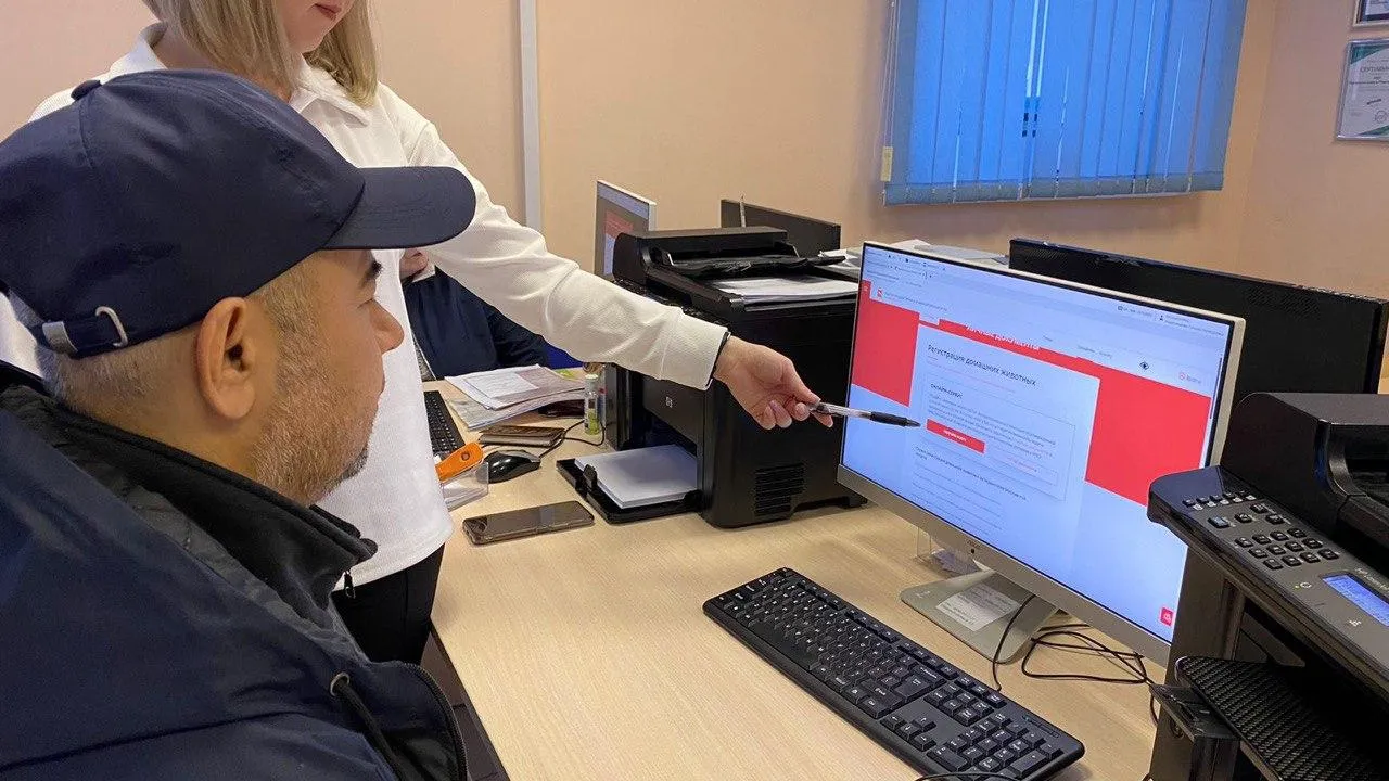 Источник фото: МФЦ г.о. Подольск