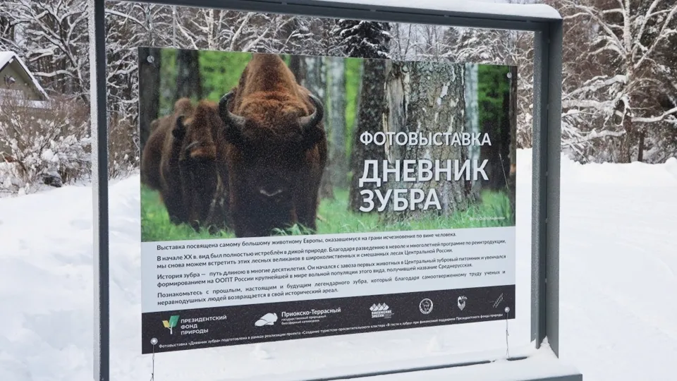 Фото: пресс-служба администрации г.о. Серпухов