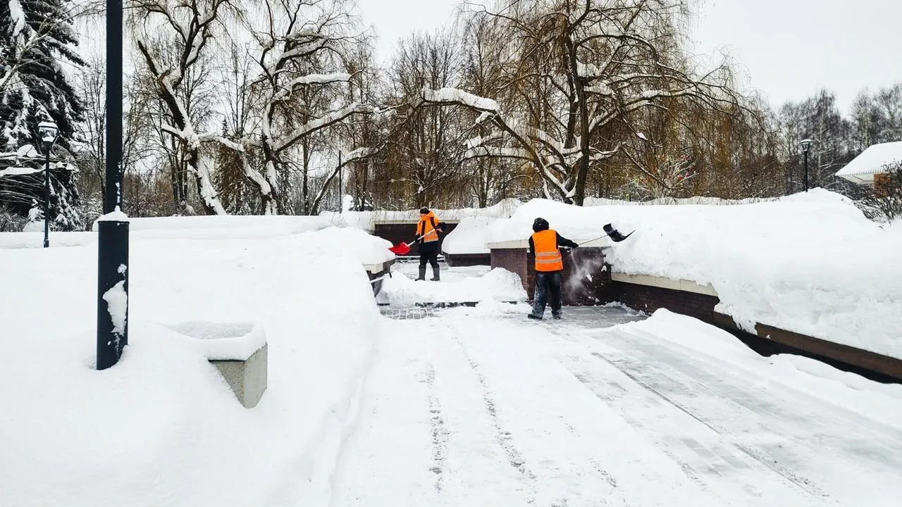 REGIONS/Мария Панина