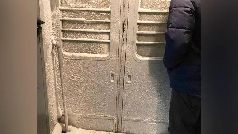 «Портал в Нарнию» нашли пассажиры подмосковной электрички