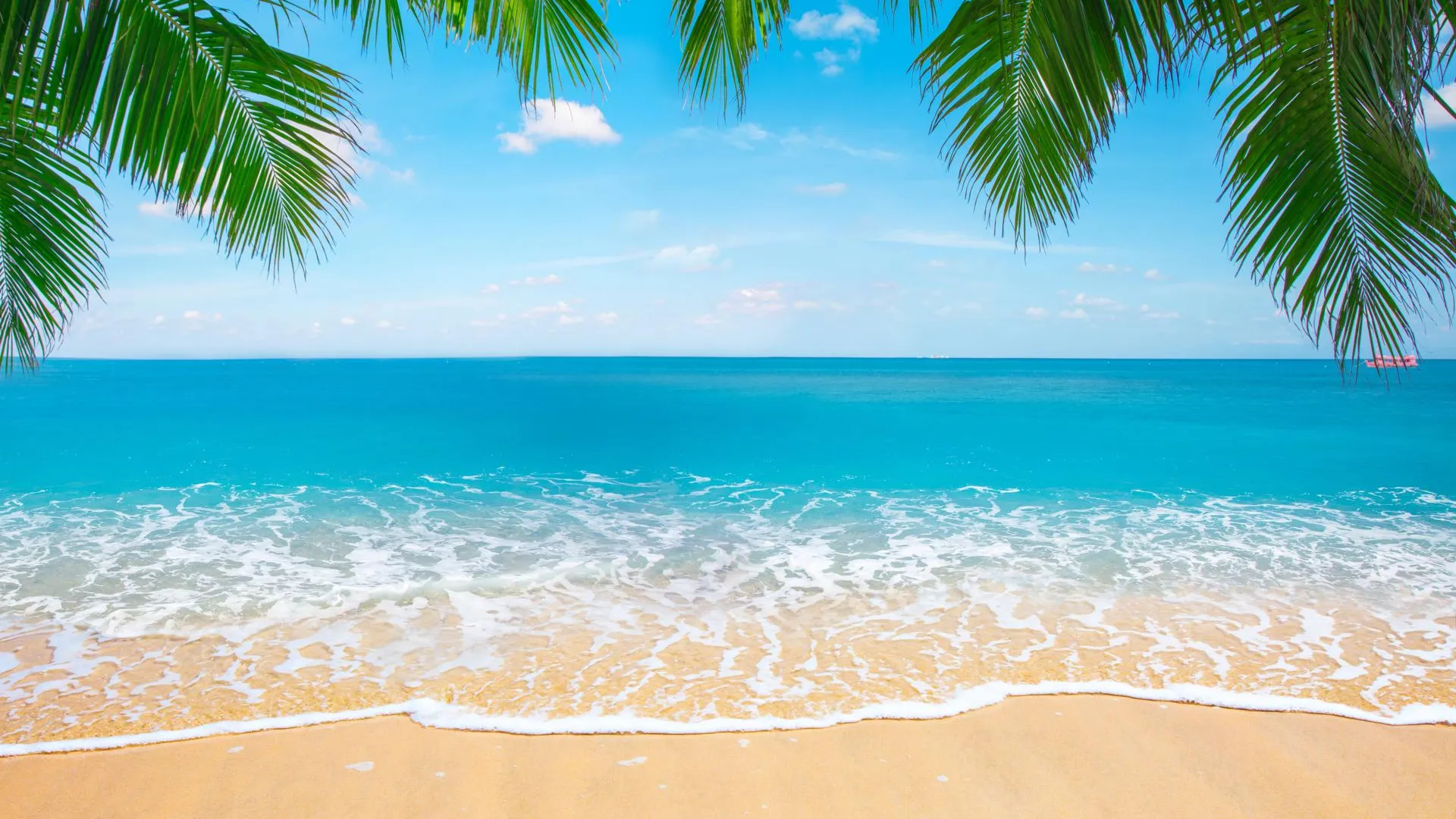 IMAGO/Zoonar.com/Alexander Ozero