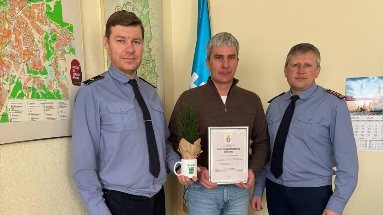 В Подмосковье определили округа-лидеры по организации площадок для сбора елей