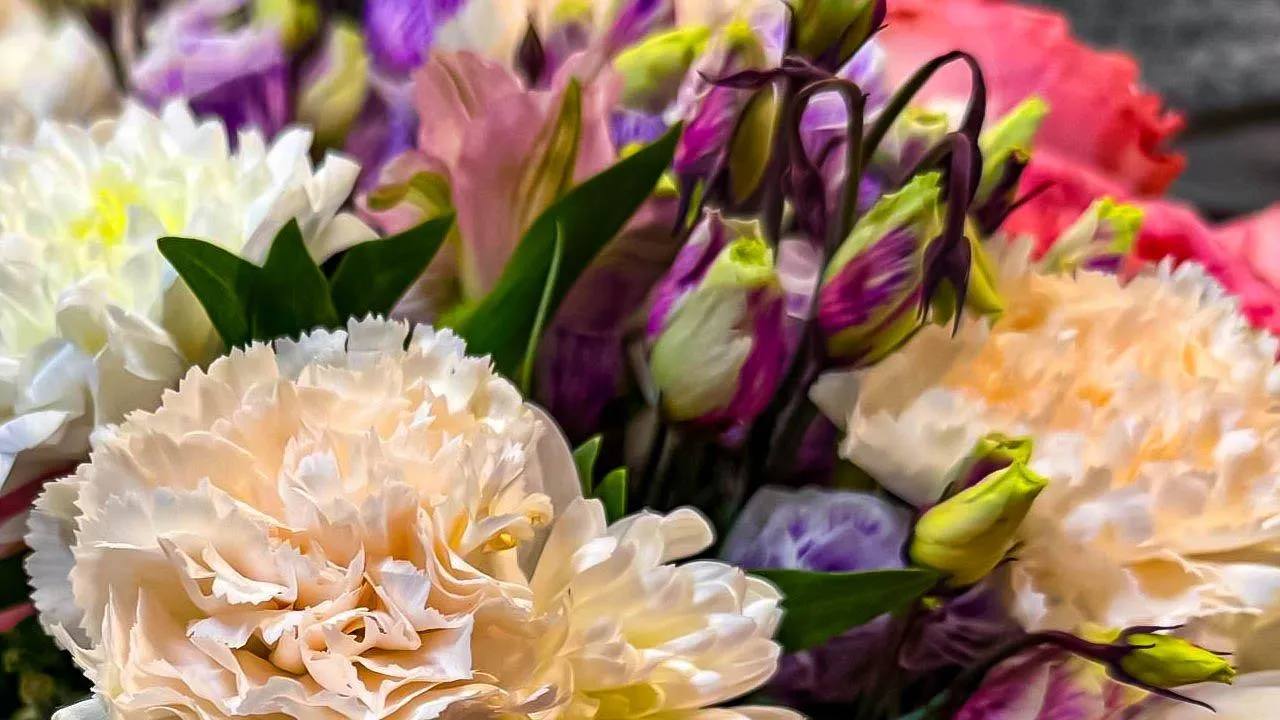 REGIONS/Дарина Левкина