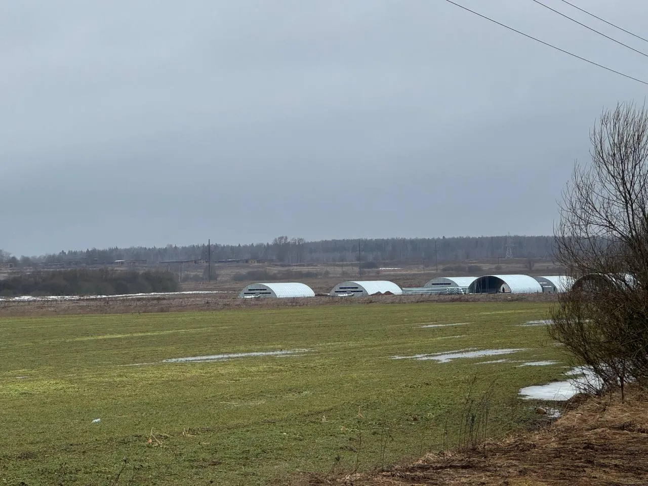 Фото: пресс-служба администрации Можайского м. о.