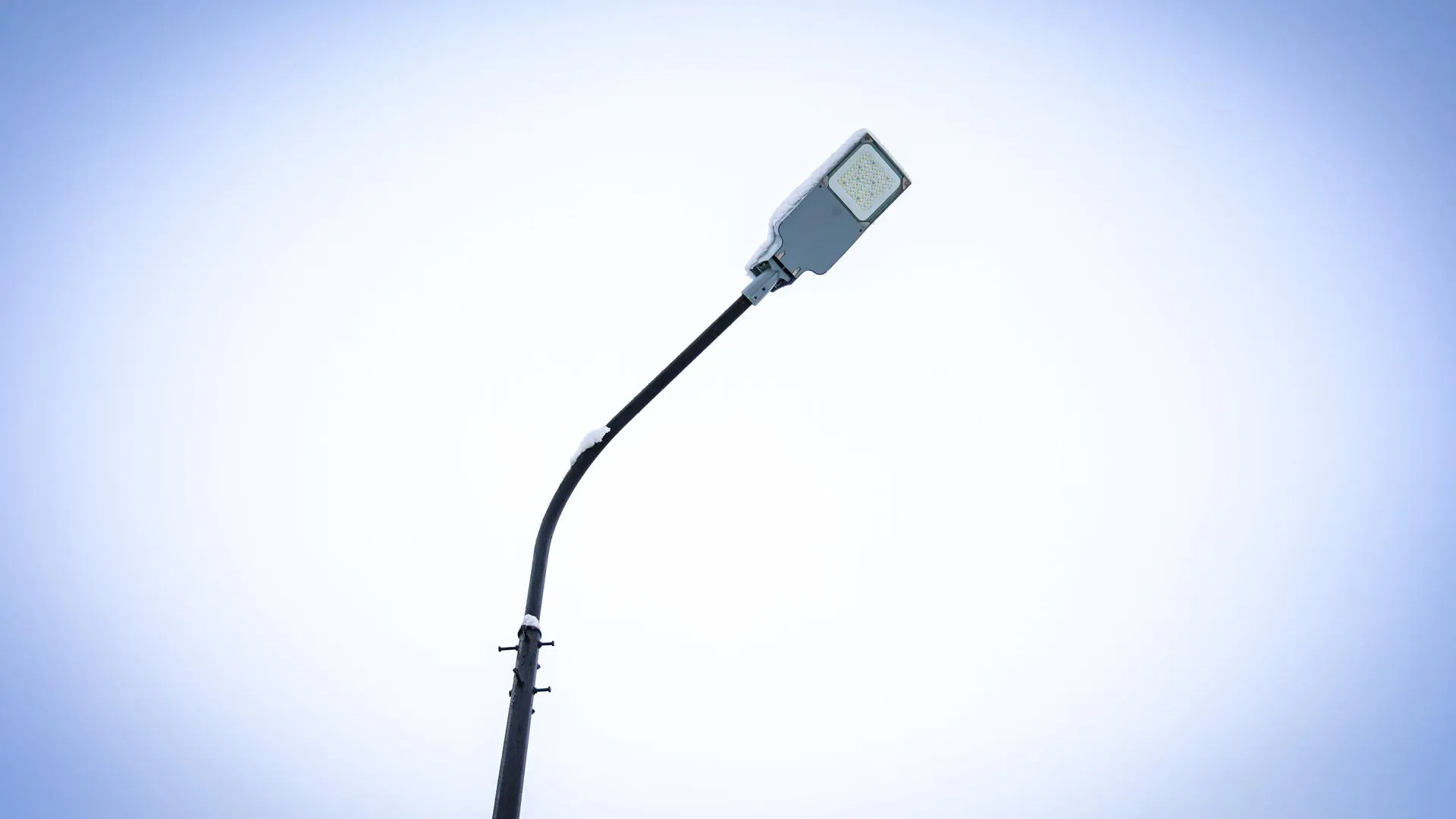 Фото: МедиаБанк Подмосковья/Данила Кирьянов