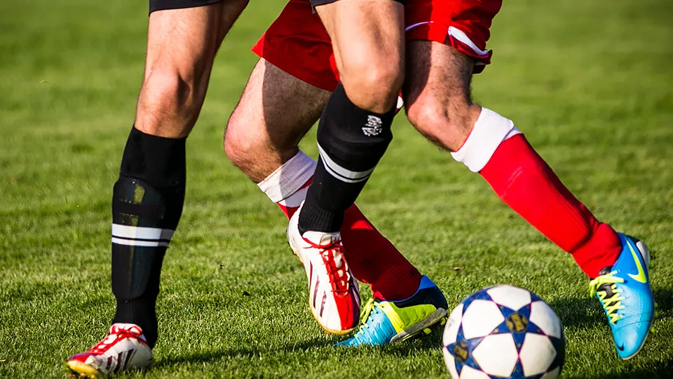 Фото: pxhere.com