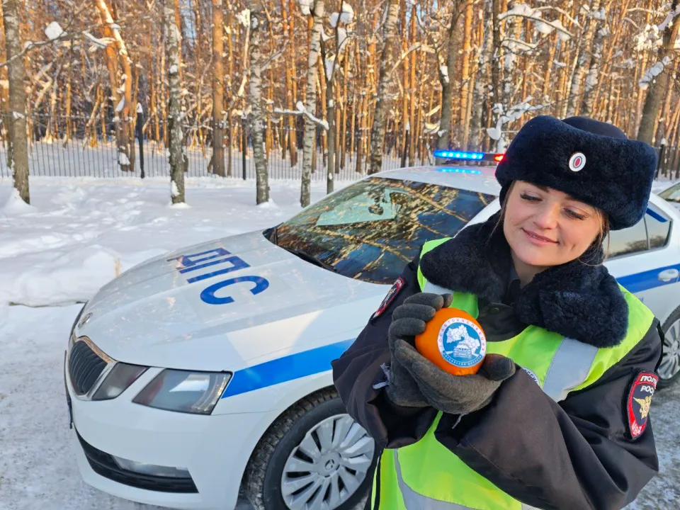 Фото: Госавтоинспекция УМВД России по г. о. Домодедово