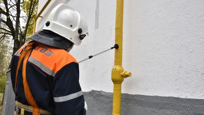 В Госдуме призвали потерявших обоняние россиян установить газовые датчики