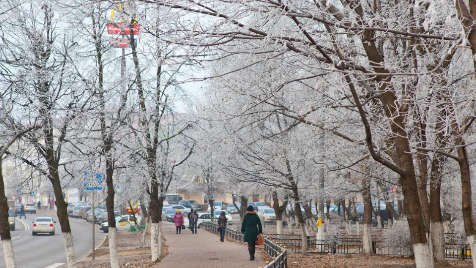 Фото: медиасток.рф