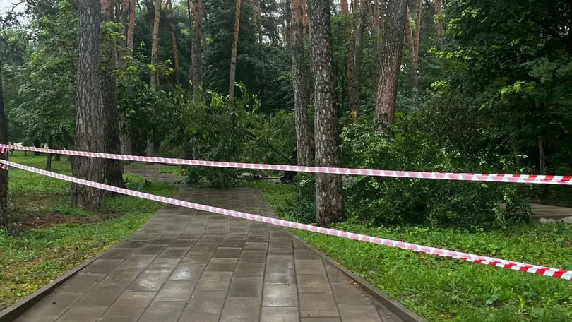 Фото: vk.com/Подслушано Серпухов | ДТП и ЧП