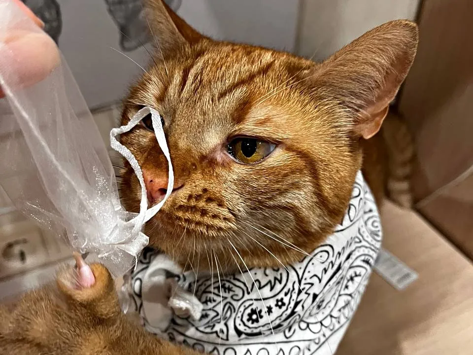 Фото: личный архив Лилии Мурзиной