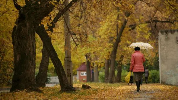 В среду в области будет пасмурно и тепло