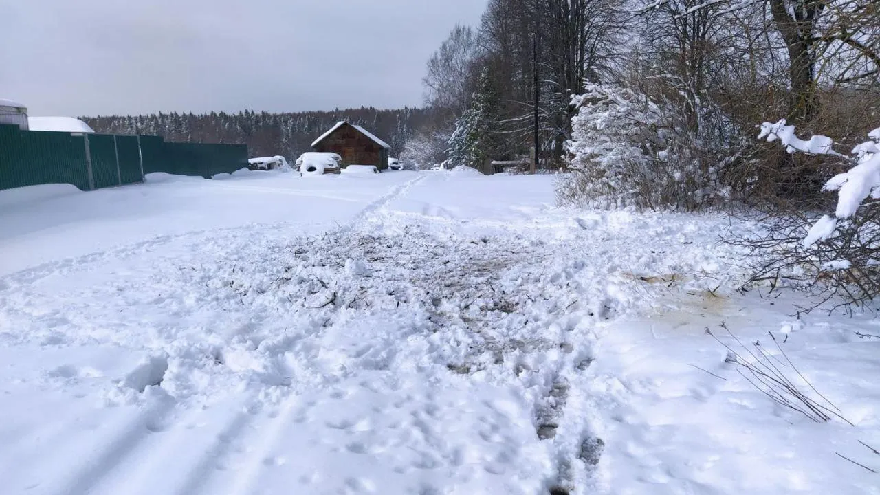 Фото: Комитет лесного хозяйства Московской области