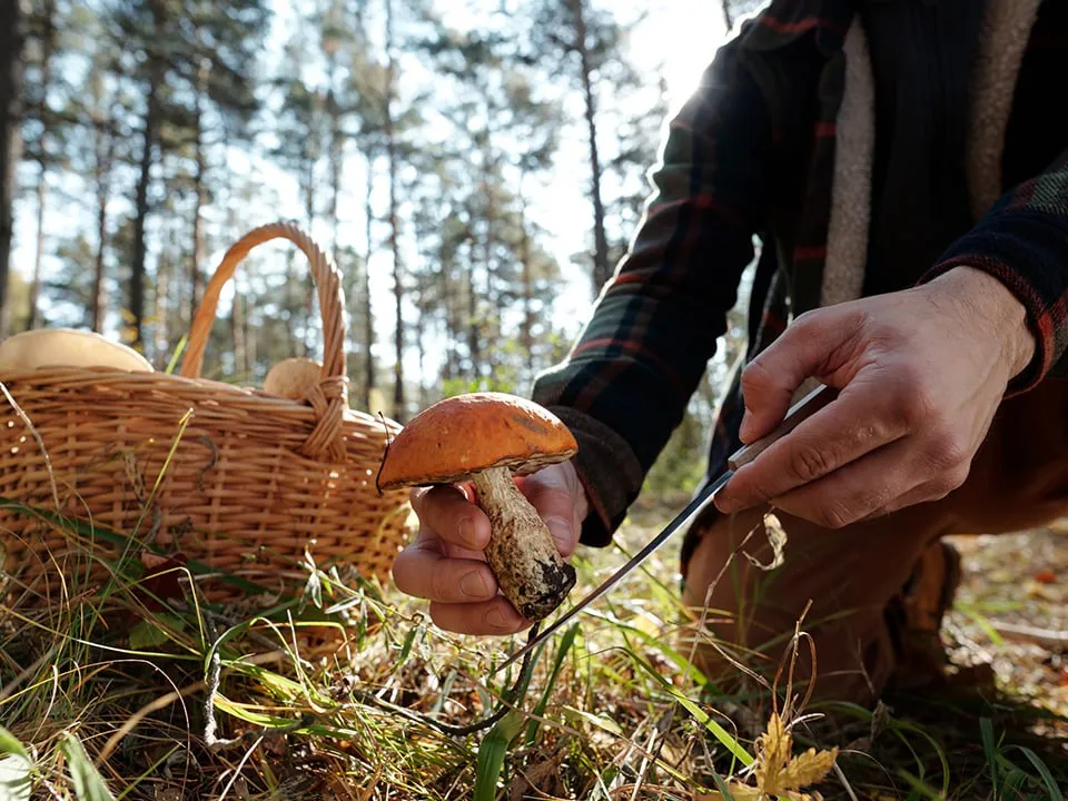 Фото: istockphoto.com/shironosov