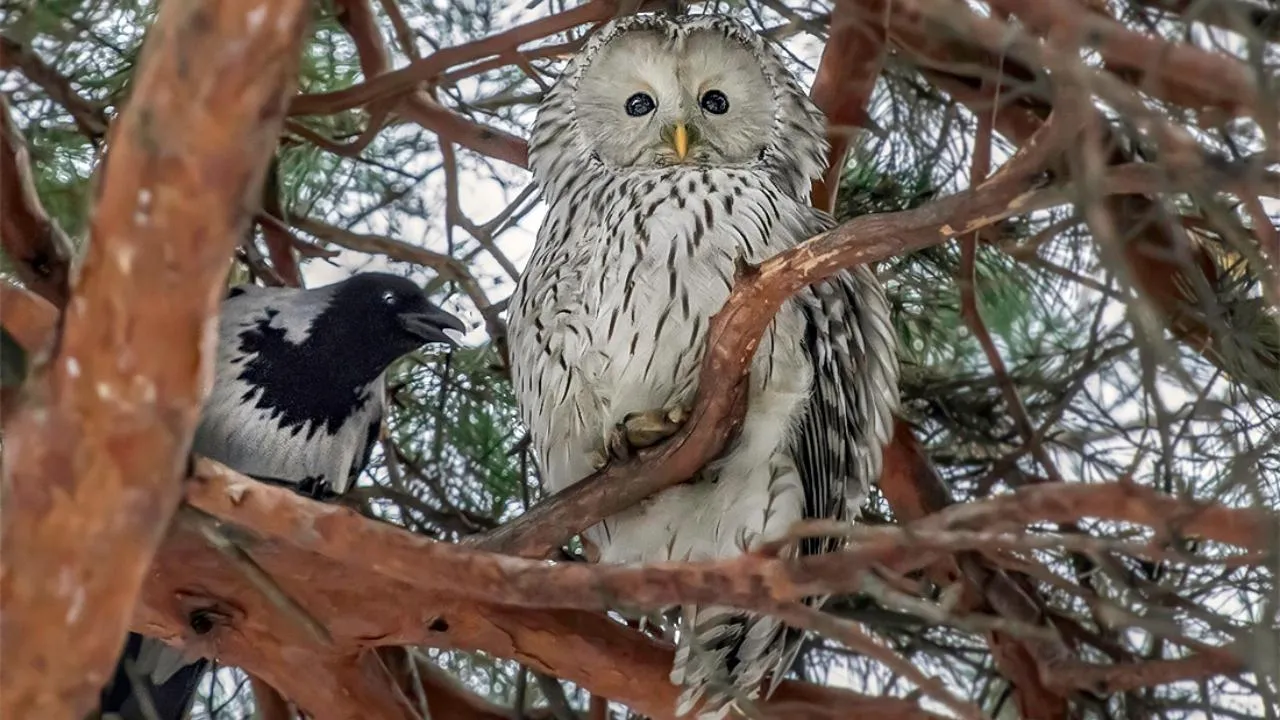 личный архив Натальи Сытиной