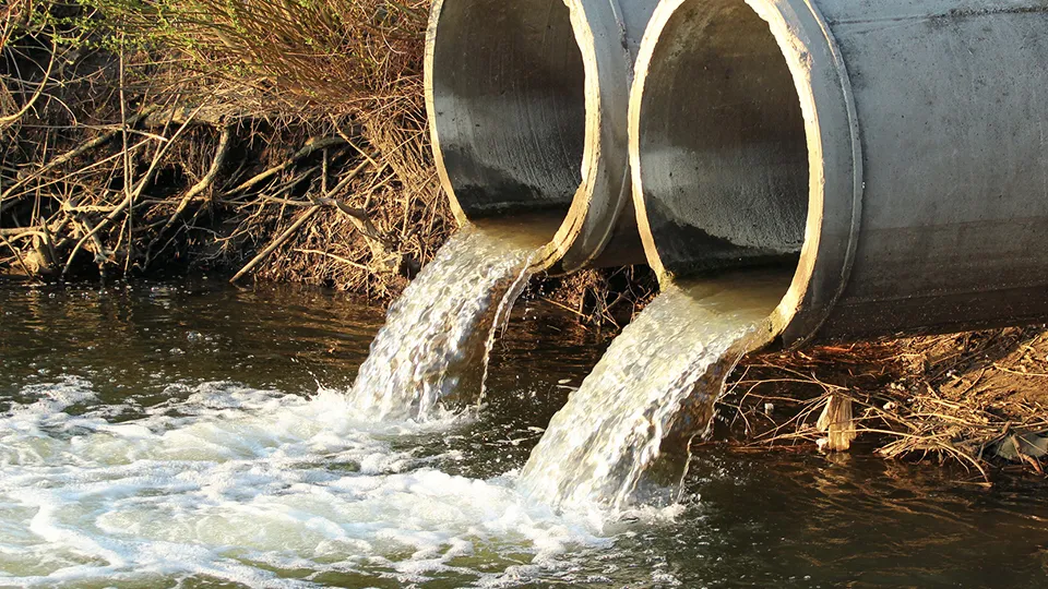 Фото: istockphoto.com/aquatarkus