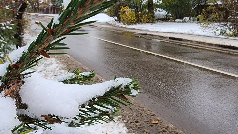 Фото: REGIONS/Наталия Надточая